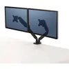 Image de Bras Fellowes Platinum Porte-écrans double Noir
