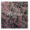 Image de Spring Edition Collector Vinyle coloré Wallows (Interprète) Vinyle album