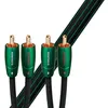 Image de Câble audio RCA Audioquest Evergreen 2 m Noir et vert