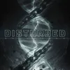 Image de Evolution Disturbed (Interprète) Vinyle album