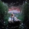 Image de Memoir Of A Sparklemuffin Vinyle Bleu Paillettes Suki Waterhouse (Interprète) Vinyle album