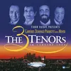 Image de The 3 Tenors in Concert 1994 Bruno Mehta (Chef d'orchestre), José Carreras (Ténor), Placido Domingo (Ténor), Luciano Pavarotti (Ténor), Los Angeles Philharmonic Orchestra (Interprète), Collectif (Compositeur) Vinyle album