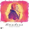 Image de Amadeus The Best Of Mozart Wolfgang Amadeus Mozart (Compositeur), Nikolaus Harnoncourt (Chef d'orchestre), Christian Zacharias (Piano), Sabine Meyer (Clarinette), Neville Marriner (Violon) Vinyle album