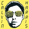 Image de I Created Disco Double Vinyle Calvin Harris (Interprète) Vinyle album