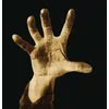 Image de System Of A Down System of a Down (Interprète) Vinyle album