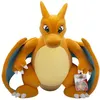 Image de Peluche Pokémon Dracaufeu