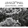 Image de Amazônia Jean-Michel Jarre (Interprète) Vinyle album