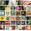 Image de No Code Pearl Jam (Interprète) Vinyle album