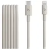 Image de Câble Beats USB-C vers Lightning 1.5 m Gris pour iPhone