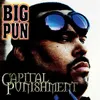 Image de Capital Punishment Édition Anniversaire Big Pun (Interprète) Vinyle album