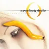 Image de Thirteenth step - 2 LP A Perfect Circle (Interprète) Vinyle album