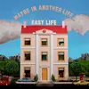 Image de Maybe In Another Life... Édition Limitée Easy Life (Interprète) Vinyle album
