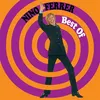 Image de Best Of Nino Ferrer (Interprète) Vinyle album