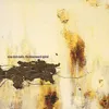 Image de The Downward Spiral Nine Inch Nails (Interprète) Vinyle album