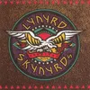 Image de Skynyrd’s Innyrds Greatest Hits Lynyrd Skynyrd (Interprète) Vinyle album