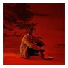 Image de Divinely Uninspired To A Hellish Extent Lewis Capaldi (Interprète) Vinyle album