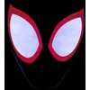 Image de Spider-Man: New Generation Into The Spider-Verse Andre Jones (Compositeur), Breyan Isaac (Compositeur), Carl Rosen (Compositeur), Denzel Curry (Compositeur) Vinyle album