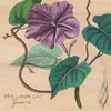 Image de Yowzers Ben Lamar Gay (Interprète) Vinyle album