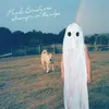 Image de Stranger In The Alps Phoebe Bridgers (Interprète) Vinyle album