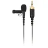 Image de Microphone lavalier RodeLink LAV Noir