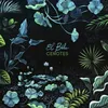 Image de Cenotes El Búho (Interprète) Maxi vinyle