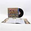 Image de Javelin Sufjan Stevens (Interprète) Vinyle album