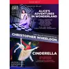 Image de Alice au Pays des Merveilles Cendrillon Blu-ray