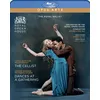 Image de The Cellist Dances At A Gathering Blu-ray