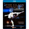 Image de The Glass Menagerie Blu-ray