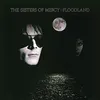 Image de Floodland Vinyle 180 gr The Sisters Of Mercy (Interprète) Vinyle album