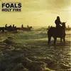 Image de Holy fire