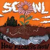 Image de How Flowers Grow Vinyle Violet Paillettés Scowl (Interprète) Vinyle album