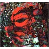 Image de Fool Warpaint (Interprète) Vinyle album