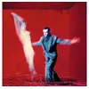 Image de Us Peter Gabriel (Interprète) Vinyle album