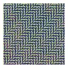 Image de Merriweather Post Pavilion (15th Anniversary Deluxe Edition) Vinyle Vert et Bleu Translucide Animal Collective (Interprète) Vinyle album
