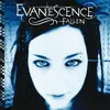 Image de Fallen Evanescence (Interprète) Vinyle album