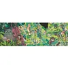Image de Puzzle 1000 pièces Djeco Owls and birds