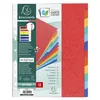 Image de Intercalaires 12 positions A4 maxi Exacompta Carte lustré Véritable souple