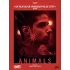 Image de Animals DVD