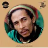 Image de Bob Marley Picture Disc Bob Marley (Interprète) Vinyle album