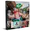 Image de Coffret cadeau SmartBox Parc Astérix 2 tickets