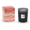 Image de Bougie parfumée rechargeable Esteban Terre d'Ocre Karité
