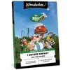 Image de Coffret cadeau Wbx Connect Parc Astérix 1 Entrée Enfant