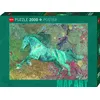 Image de Puzzle 2000 pièces Heye Map Art Horse