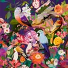 Image de Puzzle 750 pièces Ravensburger Observation des oiseaux Art & Soul