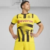 Image de PUMA Maillot de la Coupe 24/25 Borussia Dortmund Homme, Vêtements, Jaune, XL