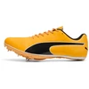 Image de PUMA Chaussures de running evoSPEED Sprint 14.5, Chaussures, Orange, 42