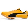 Image de PUMA Chaussures de running evoSPEED Sprint 14.5, Chaussures, Orange, 43
