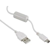 Image de CANONCABLE IFC-400 PCU USB
