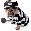 Image de Costume Chien Prisonnier 6858006